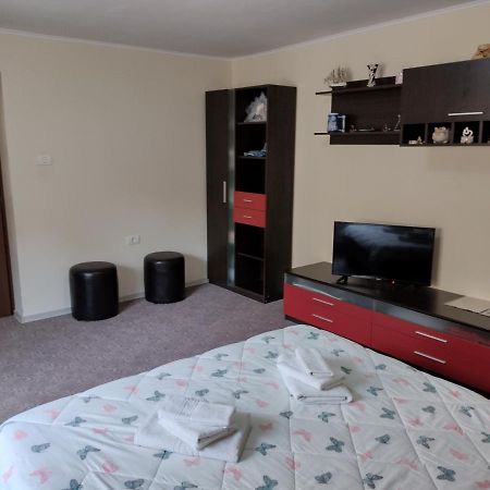 Mario'S Cozy Apartment Rîşnov Εξωτερικό φωτογραφία